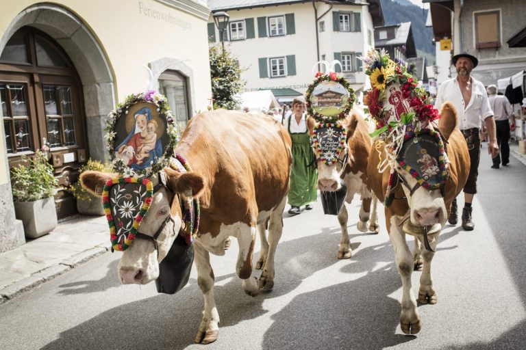 Familienurlaub Appartemen kaufen Rauris Pinzgau