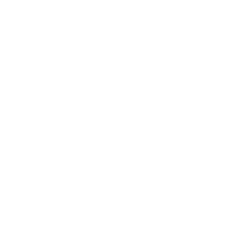 Logo Carpe Solem ZOE Kaprun