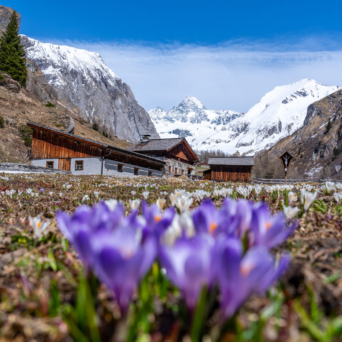 (c) TVB Osttirol_Peter Maier